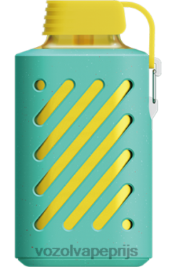 VOZOL GEAR 10000 frambozen watermeloen 42BL6306 - Vozol Vapes Kopen