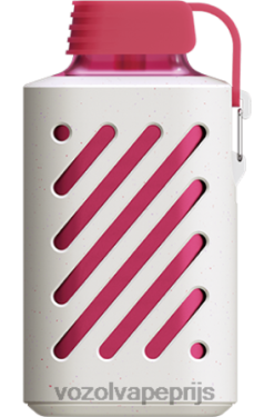 VOZOL GEAR 10000 perzik ijs 42BL6301 - Vozol Vape Kopen