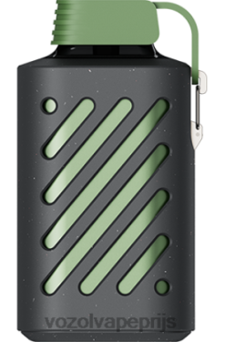 VOZOL GEAR 10000 weelderig ijs 42BL6297 - Vozol Vapes Kopen