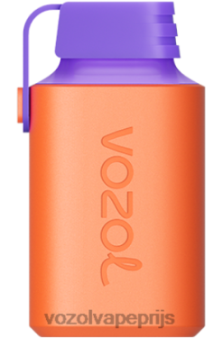 VOZOL GEAR 600 lychee guave watermeloen 42BL6353 - Vozol Nederland
