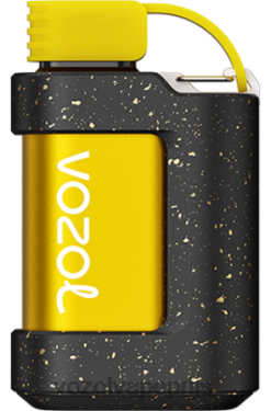 VOZOL GEAR 7000 perzik ijs 42BL6337 - Vozol Vape Kopen