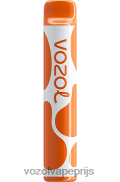 VOZOL JOYGO 600 liefde 777 42BL6384 - Vozol Prijs