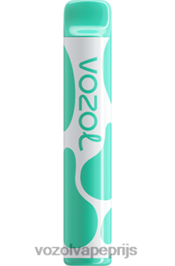 VOZOL JOYGO 600 menthol 42BL6387 - Vozol Vapes Kopen