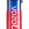 VOZOL NEON 10000 bosbessen ijs 42BL6243 - Vozol Vapes Kopen
