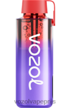 VOZOL NEON 10000 bramen ijs 42BL6242 - Vozol Clear Vape
