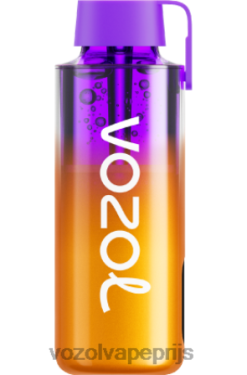VOZOL NEON 10000 gemengde bessen 42BL6235 - Vozol Vape Prijs