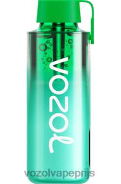 VOZOL NEON 10000 miami munt 42BL6229 - Vozol Vape Kopen
