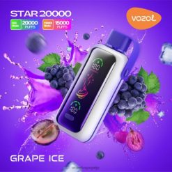 VOZOL STAR 20000 druiven ijs 42BL6404 - Vozol Clear Vape