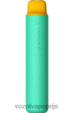 VOZOL STAR 2000 gomachtige beer 42BL6155 - Vozol Nederland