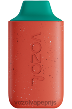 VOZOL STAR 6000 lychee guave watermeloen 42BL6117 - Vozol Vapes Kopen