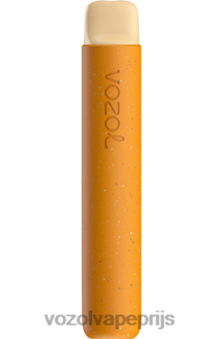 VOZOL STAR 600 ijskoude mango 42BL682 - Vozol Vape Prijs