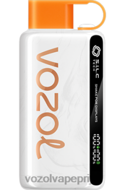 VOZOL STAR 9000/12000 perzik-mango-watermeloen 42BL628 - Vozol Vape Prijs