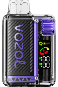 VOZOL VISTA 16000/20000 druiven ijs 42BL65 - Vozol Vape Nederland
